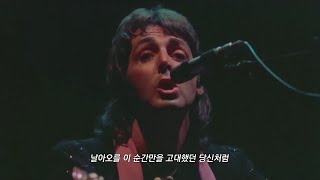 The beatles (비틀즈) _ Blackbird / 가사, 번역