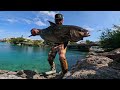 EPIC Action! Dog Falls Off Paddle Board, Giant Fish Goes CRAZY on My Lure!