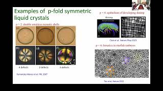 SPL | Dr. Farzan Vafa | Liquid crystals, topological defects, and morphogenesis