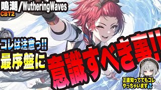 【鳴潮/Wuthering Waves】コレは注意案件っ!! 最序盤に意識するべき事っ!!【考察・攻略・初心者】