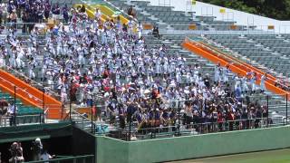 第96回全国選手権沖縄大会　1回戦　浦添商業　応援・ブラバン　渚の女王様♪　