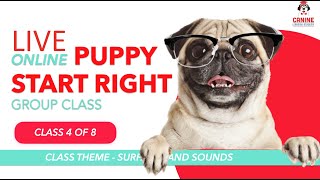 Canine Learning Academy Live Online Puppy Start Right Group Class | Class 4 of 8