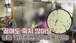 (닥터리포트) '끓여도 죽지 않아요'..봄철 '퍼프린젠스' 식중독 주의!｜ TJB 대전·세종·충남뉴스