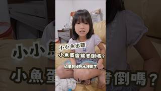 小小魚出題！小魚蛋會被考倒嗎？