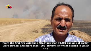 Yazda Documentation of the Wildfires Currently in Sinjar and Recommendations to the authorities