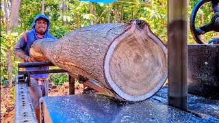 SAWING OLD ACACIA & TEAK WOOD - Japanese assembled bandsaw machine