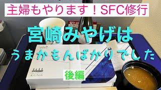 【宮崎後編】日帰り宮崎フライト。滞在時間6時間！宮崎空港を楽しんできました。