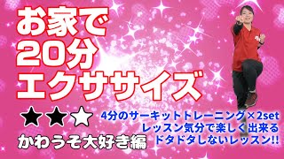 お家で20分エクササイズ～かわうそ大好き編(強度★★☆)