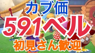 【あつ森】ライブ参加型　流星群島やカブ591ベルなど　手数料なし雑談