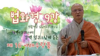 [불일불교대학] 법화경 일귀스님 특강 9부 24.4.26