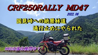 【CRF250RALLY】迷走の林道その先の絶景国見峠　伊吹の里は検問だらけ　池田山への道は通行止めのトラブル