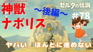 雷の神獣ナボリス内部攻略＜後編＞全部の制御装置起動！！【ゼルダの伝説ブレスオブザワイルド】～今日もゼルダを救えない#78