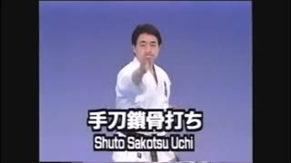 Kyokushin 101: Shuto Sakotsu Uchi