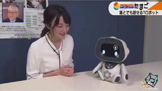 Robot that reproduces voice（声が再現するロボット）by Human Techno System Tokyo（ヒューマンテクノシステム東京）