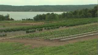 Homework Hotline Going Green: Wegmans Organic Farm