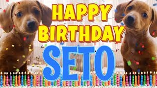 Happy Birthday Seto! ( Funny Talking Dogs ) What Is Free On My Birthday