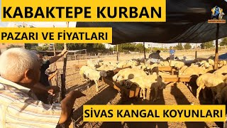 Adana Kabaktepe kurban pazarı | Kurbanlık fiyatları | 2022  Kurban pazarı | Hayvan Pazarı