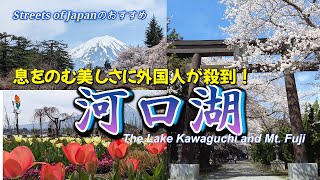 【４Ｋ】桜が超満開！息を吞むほど美しい河口湖に外国人が殺到！車載カメラで桜街道をぐるっと一周、壮大な富士山と桜のコラボレーション旅の記録です。字幕設定をONにして下さい。