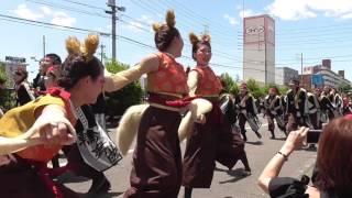 京炎そでふれ！輪舞曲2017犬山踊芸祭