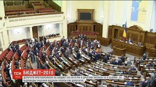 Верховна Рада ухвалила держбюджет-2019