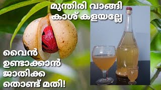 ജാതിക്ക വൈൻ || Ethel gardening tips || Nutmeg (Jathika) Wine.