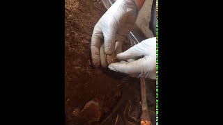 Hackley Chimney Cleanout 2017