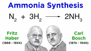 The Haber-Bosch Process: Industrial Ammonia Synthesis