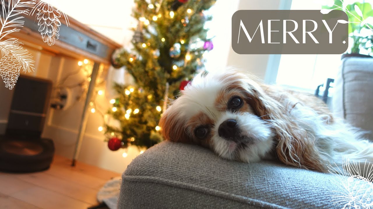 Decorating Our Tree рџћ Youtube