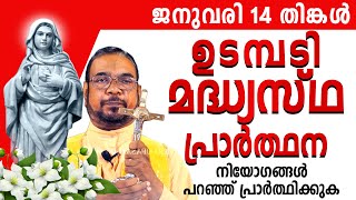 ഉടമ്പടി മദ്ധ്യസ്ഥ പ്രാർത്ഥന | ജനുവരി 14 | #noonprayer #kreupasanam #frjosephvaliyaveetil #amma