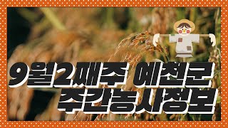 9월2째주 예천군 주간농업기상정보