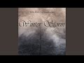 Winter Storm (feat. DimaBassline)