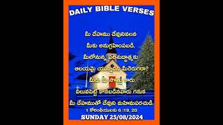 25 August 2024 || మీ దేహము దేవునివలన మీకు అనుగ్రహింపబడి, మీలోనున్న పరిశుద్ధాత్మకు ఆలయమై యున్నది ||