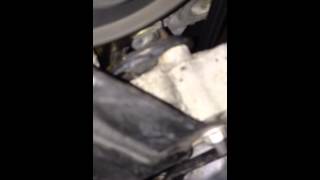 Aurora 4.0 Exhaust Leak and Water Pump Whine