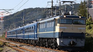 EF65-501+12系5両+DD51-895 快速EL群馬県民の日 西松井田～松井田通過