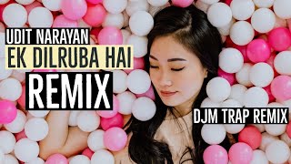 MERA DIL JIS DIL PE FIDA BEWAFA ft. DJM | UDIT NARAYAN | AKSHAY KUMAR | BEWAFAA | KAREENA KAPOOR