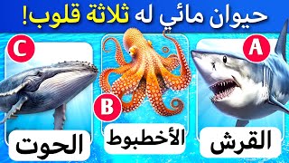 32 اسئلة واجوبة ومعلومات ثقافية مفيدة عن الحيوانات | اسئلة صعبة جدا ! الغاز للاذكياء..!!