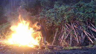 荒廃した孟宗竹林の整備2年目の野焼き～連日雨が降ってます2023/08/06-02