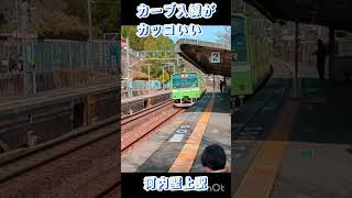 ★【カーブ入線がカッコいい】201系河内堅上駅にて　#shorts