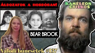 BEAR BROOK NÉGYES! Hogy kerültek a hordókba? Örök kérdések. @valodibunesetek #igaztörténet