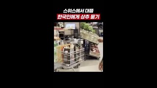 스위스에서 한국어 하는 유해진ㅋㅋㅋ