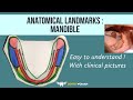 Anatomical Landmarks : Mandible | easy to understand