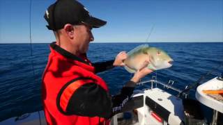 DX POINT® hook penetrates straight through boney mouth