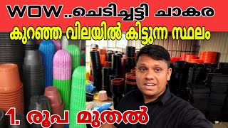 Wholesale Chedichatty/Mannuthy Nursery/Mannuthy Agricultural Farm Thrissur/മണ്ണുത്തി ചെടികൾ/Vlog