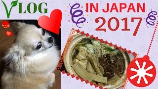 New Year Holiday in Toyama, JAPAN || Vegan Food, Temple, Chihuahua