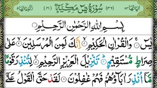Surah Yaseen | Surah Yasin | Quran Recitation With HD Arabic Text | Chapter 36