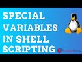 A view of Special Variables in Shell Scripting