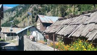 Beautiful Village Baghori Harsil | The village of Bhotia Tibbatians | Phahad Uttarakhand #shorts