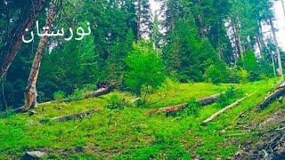 pashto naat New 2021 يو چادي ده ژوندون کيسه کوله ژڑيدم