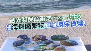 海龜與她回家的路(林佩瑜) 一步一腳印 20200705