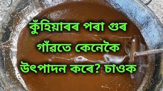 গুৰ উৎপাদন | গাঁৱত | থলুৱা ভাৱে কৰিছে | Gur r utpadan